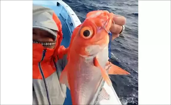 「中深海ジギングで本命のキンメダイ6匹キャッチ！【静岡・下田沖】船中全員安打達成」の画像