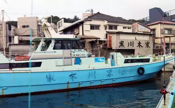 「東京湾エギタコ釣りで2.5kg頭にトップ2桁釣果！【黒川本家】新子も多めで今後に期待か」の画像