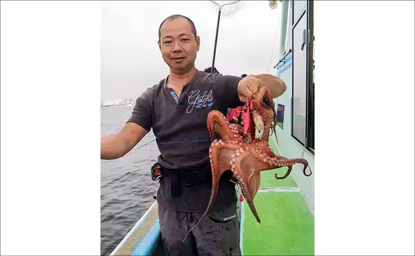 「東京湾エギタコ釣りで2.5kg頭にトップ2桁釣果！【黒川本家】新子も多めで今後に期待か」の画像
