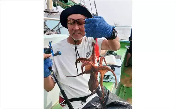 「東京湾エギタコ釣りで2.5kg頭にトップ2桁釣果！【黒川本家】新子も多めで今後に期待か」の画像