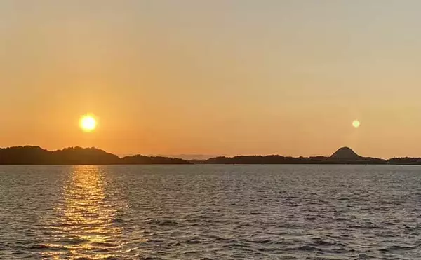 「熊本・上天草の堤防カワハギ釣りで本命8匹　九州甘醤油でお刺身堪能」の画像