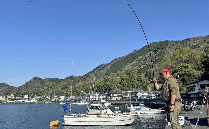 内浦堤防でのフカセ釣りで50cm超えクロダイ登場【静岡・沼津】ゲストに30cm級メジナ