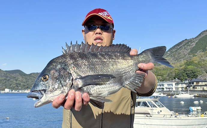 内浦堤防でのフカセ釣りで50cm超えクロダイ登場【静岡・沼津】ゲストに30cm級メジナ