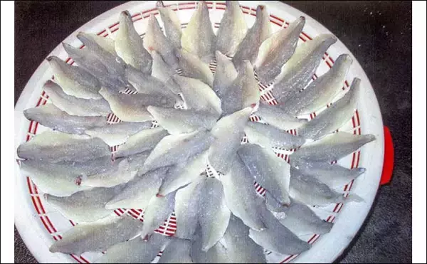 「「小ダイ・カワハギ・クロダイ揃い踏み！」忠栄丸のウタセ五目釣りで五目成立【愛知】」の画像