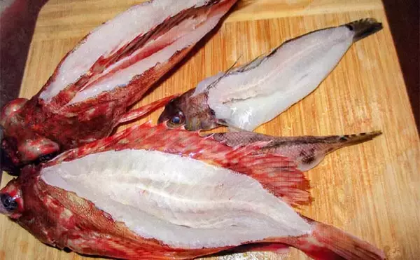 「「小ダイ・カワハギ・クロダイ揃い踏み！」忠栄丸のウタセ五目釣りで五目成立【愛知】」の画像