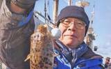 「カットウ釣りでフグ26匹キャッチ！【愛知・石川丸】バナメイエビに好反応でリベンジ成功」の画像1
