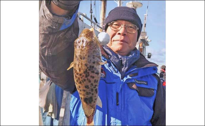 カットウ釣りでフグ26匹キャッチ！【愛知・石川丸】バナメイエビに好反応でリベンジ成功