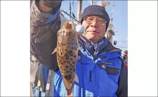 「カットウ釣りでフグ26匹キャッチ！【愛知・石川丸】バナメイエビに好反応でリベンジ成功」の画像