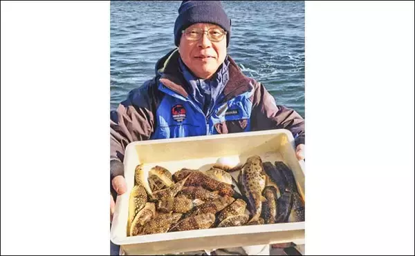 「カットウ釣りでフグ26匹キャッチ！【愛知・石川丸】バナメイエビに好反応でリベンジ成功」の画像