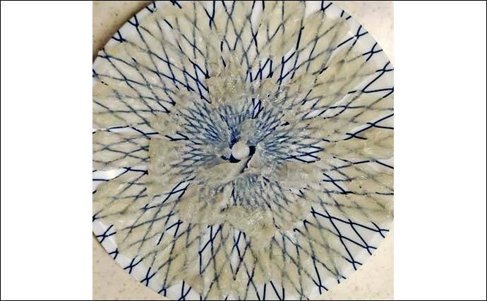 カットウ釣りでフグ26匹キャッチ！【愛知・石川丸】バナメイエビに好反応でリベンジ成功