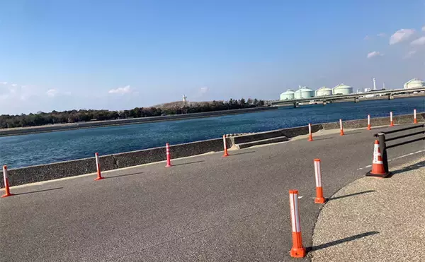 「冬の潮干狩りで4cm級含みアサリ20個を好捕【愛知・新舞子海岸】 穴を探すことがコツ？」の画像