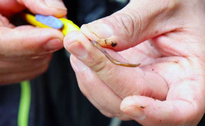 22年 本流エリアでの渓流釣り解説 タックル 釣り方 シーズン特徴 22年3月3日 エキサイトニュース 3 6