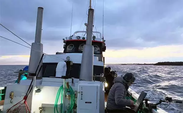 「ハイシーズンの富山湾スルメイカ釣りでトップ150杯超えと絶好調【富山・強神丸】」の画像