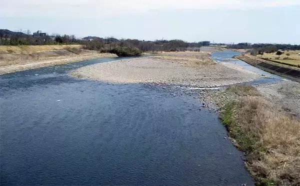 「鮎（アユ）友釣りオススメ河川ガイド2024：渡良瀬川【栃木県】天然遡上は遅れ気味か」の画像