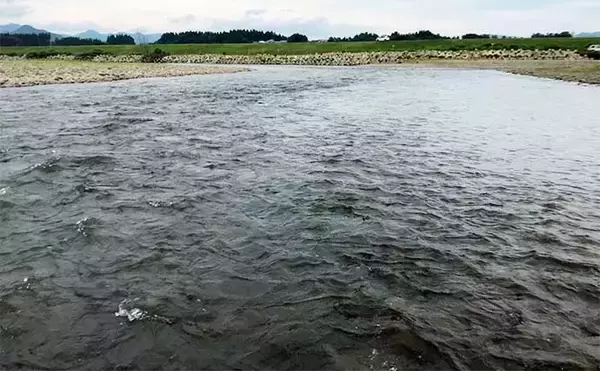 「鮎（アユ）友釣りオススメ河川ガイド2024：渡良瀬川【栃木県】天然遡上は遅れ気味か」の画像
