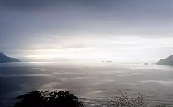 「「春エギング開幕は遅れ気味？」若狭エリアで本命アオリはバラしもコウイカ手中【福井】」の画像