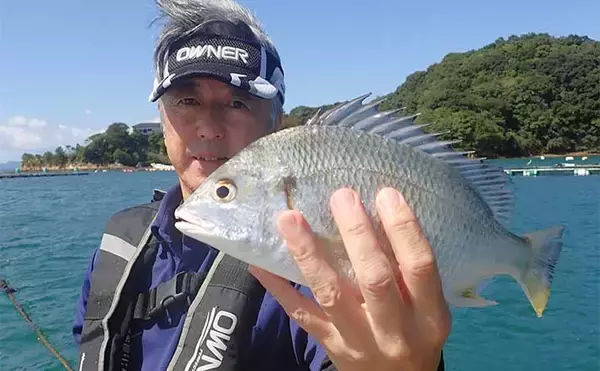 イカダから胴突き仕掛けでメイタを釣る【熊本・天草】好ゲストも続々登場！