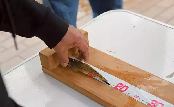 「哀川翔さんが1投目から本命ハゼを手中！ 300人が参加した『三河湾釣り大会』が開催」の画像