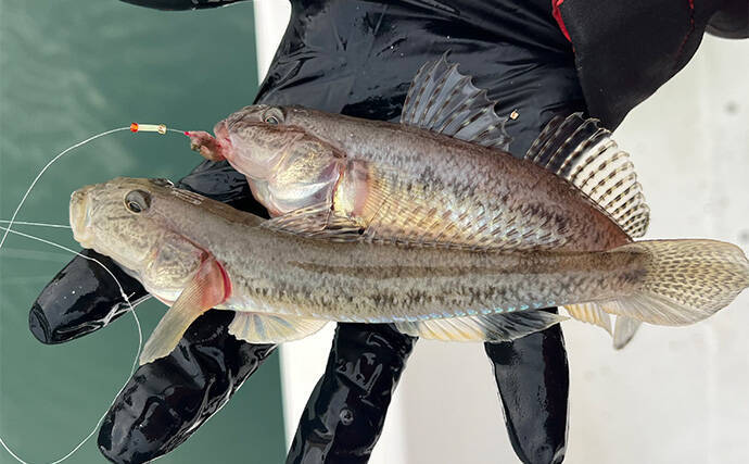 哀川翔さんが1投目から本命ハゼを手中！ 300人が参加した『三河湾釣り大会』が開催