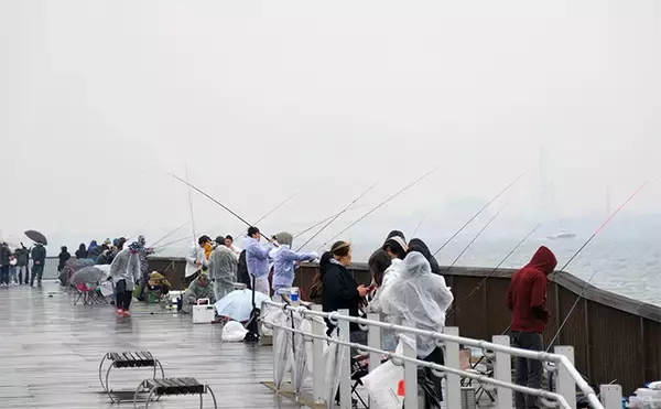 「哀川翔さんが1投目から本命ハゼを手中！ 300人が参加した『三河湾釣り大会』が開催」の画像