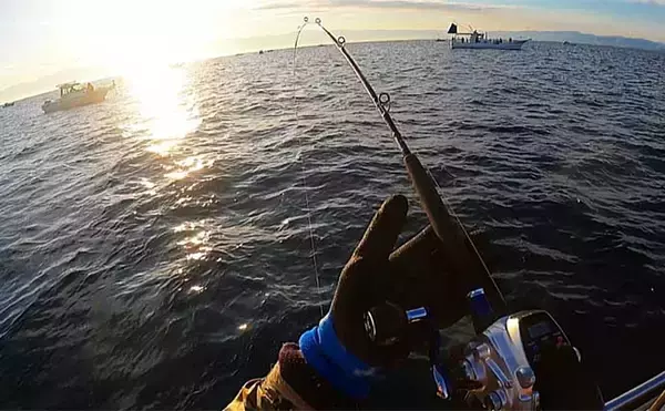 「富山湾スルメイカ釣りで2桁釣果【シーアース】コンビニ割り箸で作ったツノが的中？」の画像