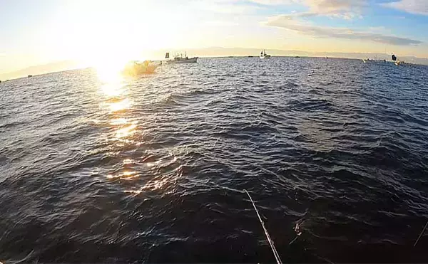 「富山湾スルメイカ釣りで2桁釣果【シーアース】コンビニ割り箸で作ったツノが的中？」の画像