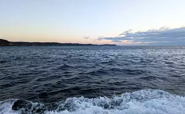 「「トンボジギングシーズン開幕！」トロ丸での釣行で17kgビンチョウマグロ手中【三重】」の画像