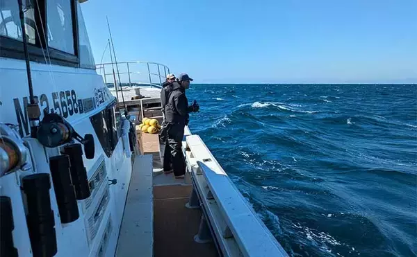 「「トンボジギングシーズン開幕！」トロ丸での釣行で17kgビンチョウマグロ手中【三重】」の画像