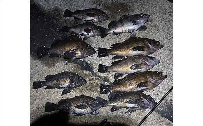 メバリングに【ブラックバス用ルアー流用】のススメ　ダウンショットリグは海でも有効！