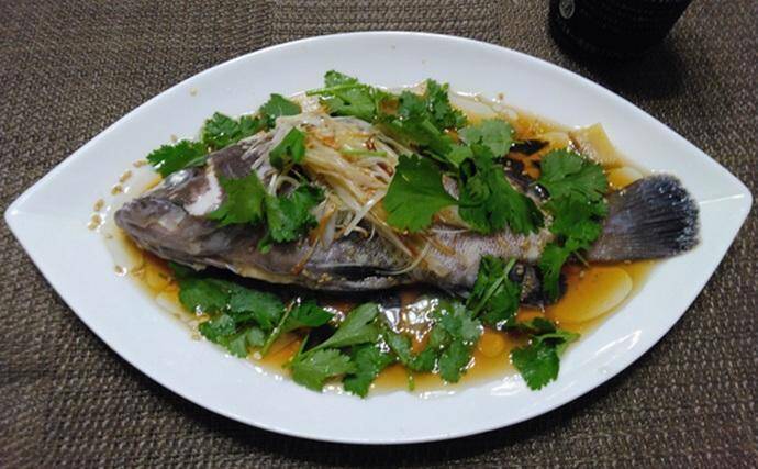 部分解禁の鹿島沖ヒラメ釣りでトップ7匹！【大春丸】ゲストにマハタとイナダ