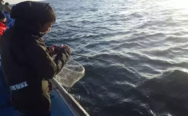 「部分解禁の鹿島沖ヒラメ釣りでトップ7匹！【大春丸】ゲストにマハタとイナダ」の画像