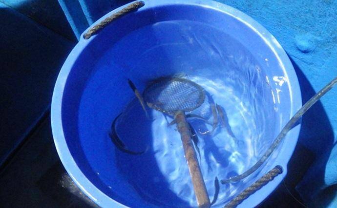 部分解禁の鹿島沖ヒラメ釣りでトップ7匹！【大春丸】ゲストにマハタとイナダ