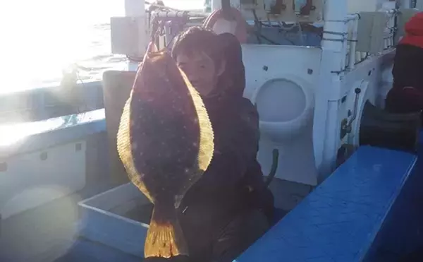 「部分解禁の鹿島沖ヒラメ釣りでトップ7匹！【大春丸】ゲストにマハタとイナダ」の画像