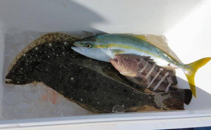 部分解禁の鹿島沖ヒラメ釣りでトップ7匹！【大春丸】ゲストにマハタとイナダ