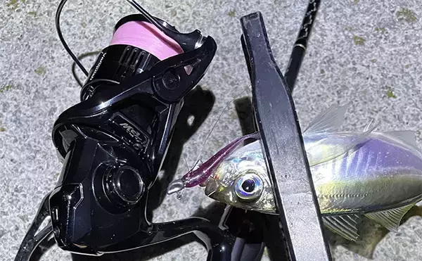 「「極細PEラインの寿命はどのくらい？」0.1号〜0.3号の使い方＆使い分け方も解説」の画像