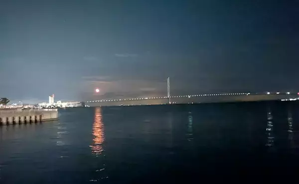 「夜中のライトルアー釣行で20cm級メバルと対面成功！【兵庫】藻場狙いが的中」の画像