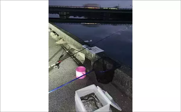 「河川でのブッコミ釣りで60cm超え「天然ウナギ」キャッチに成功！【筏川・愛知】」の画像