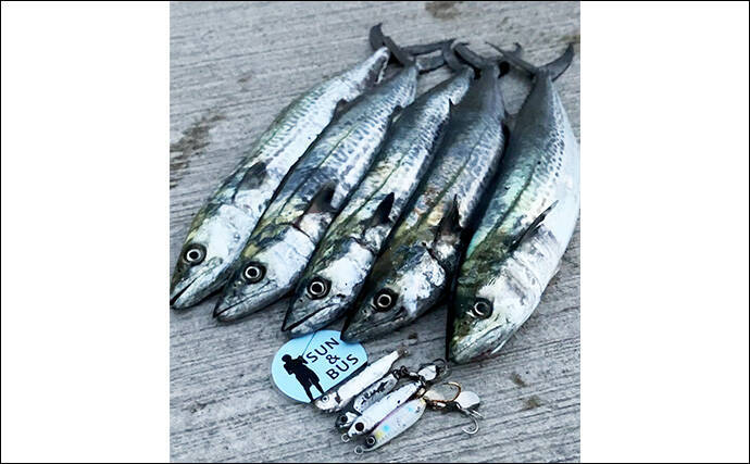 「秋の青物シーズンが本番突入！」大阪南港魚つり園でのショアジギングでサゴシ連発！