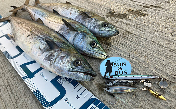 「秋の青物シーズンが本番突入！」大阪南港魚つり園でのショアジギングでサゴシ連発！