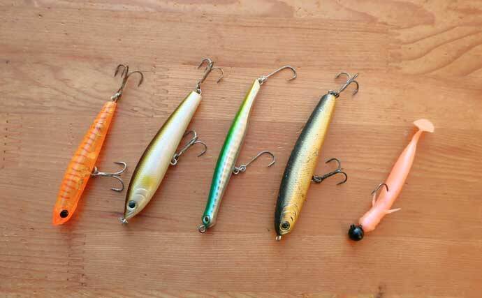 干潟エリアのバチ抜けシーバス徹底解説 【狙うポイント・使うルアー・釣り方】