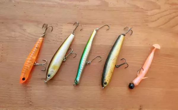 「干潟エリアのバチ抜けシーバス徹底解説 【狙うポイント・使うルアー・釣り方】」の画像