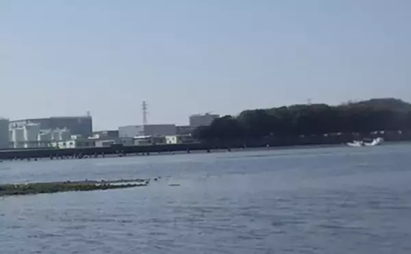 「江戸川河口での潮干狩りで大型ホンビノス貝28個ゲット　ゲストにアサリも」の画像