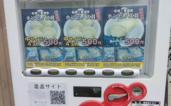 「江戸川河口での潮干狩りで大型ホンビノス貝28個ゲット　ゲストにアサリも」の画像