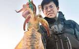 「波止エギングで900g筆頭にアオリイカ2尾のキャッチに成功！【西海・長崎】」の画像1