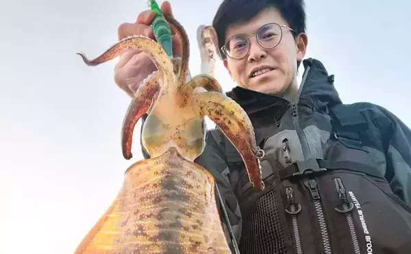 波止エギングで900g筆頭にアオリイカ2尾のキャッチに成功！【西海・長崎】