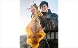 「波止エギングで900g筆頭にアオリイカ2尾のキャッチに成功！【西海・長崎】」の画像2