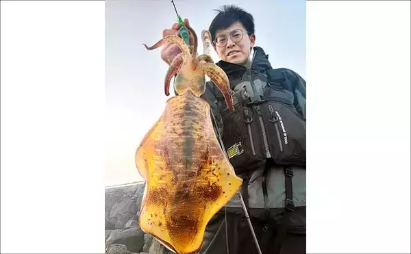 「波止エギングで900g筆頭にアオリイカ2尾のキャッチに成功！【西海・長崎】」の画像