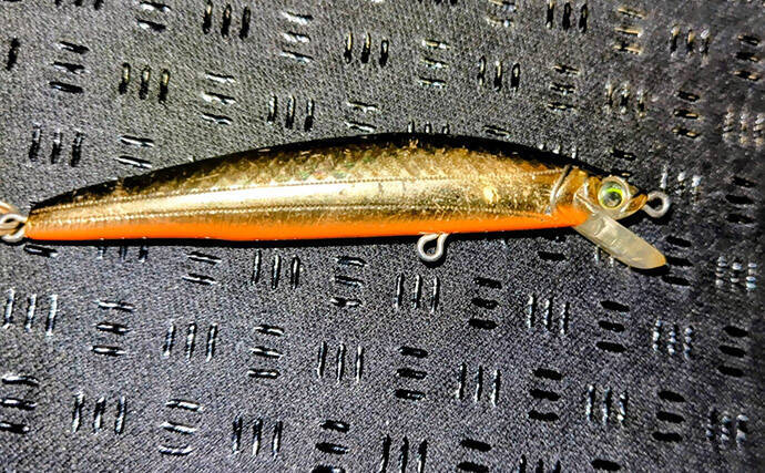 春の内房河川で63cm頭にシーバス5匹の数釣り達成！ ベイトとレンジの見極めが肝