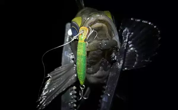 「梅雨にメバルが釣れなくなる理由とは？　「魚が消えた」と感じる原因と攻略法を解説」の画像