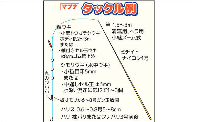 春の乗っ込みマブナ（ギンブナ）釣り解説 【仕掛け・エサ・ポイント選び方・釣り方】